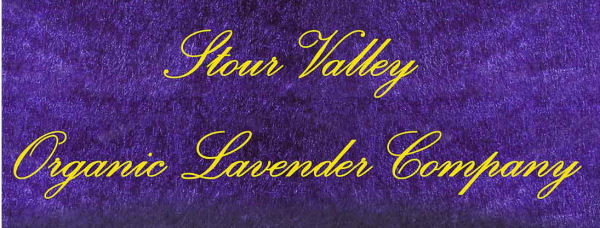Stour Valley Organic Lavender Company